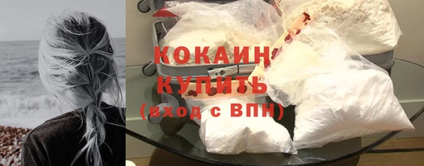твердый Абаза