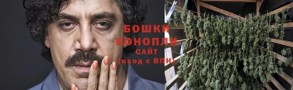 ГАЛЛЮЦИНОГЕННЫЕ ГРИБЫ Новозыбков