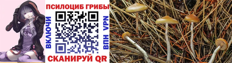 Галлюциногенные грибы мухоморы  мега ONION  Электроугли  закладка 